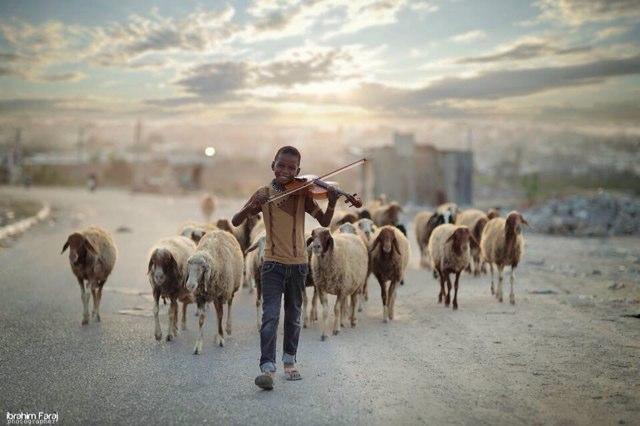 mhmdbnnouh's profile picture. 