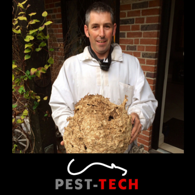 Pest-Tech Ltd are a local family run business in #Maidstone. Members of the BPCA & cover all aspects of #pestcontrol & #birdproofing