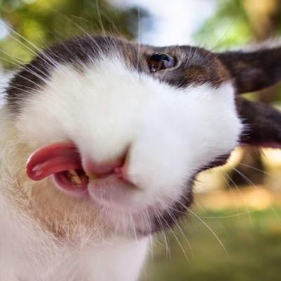 Sherry83044277's profile picture. i like to build and share things ✨