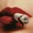 srta_Avizor's profile image
