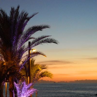 iMikew's profile picture. 