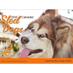 Malamute Matters (@malamutematters) Twitter profile photo Malamute Matters (@malamutematters) Twitter profile photo