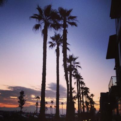 melfeterry's profile picture. 