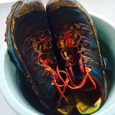 tampan1's profile picture. 札幌の社台・サンデー・Ｇ１会員兼ぽんこつランナー。足首の靭帯2本痛めながら東京マラソン2012でフルデビュー。2018日本の端大会を制覇(石垣島、根室、稚内、与那国島)。2025年も全馬無事に1年競馬が続けられますように。