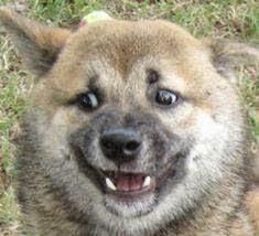 Intent_to_kill's profile picture. 