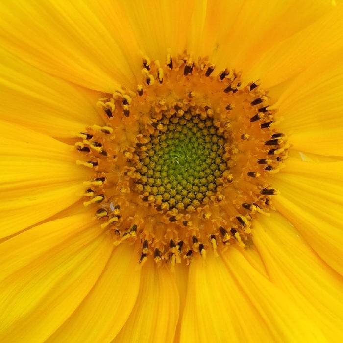 emilyehh8's profile picture. I should tweet that...