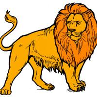 Lions FC (@comeonthelions) 's Twitter Profile