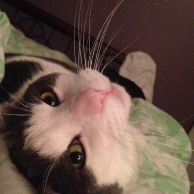 CoriLynn202's profile picture. 