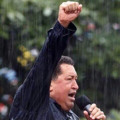 Revolucionario, Socialista, por ahora y para siempre CHAVISTA. #Venezuela