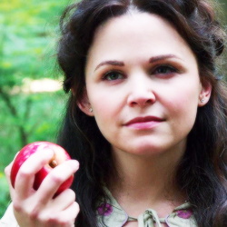 SouverainTale's profile picture. 