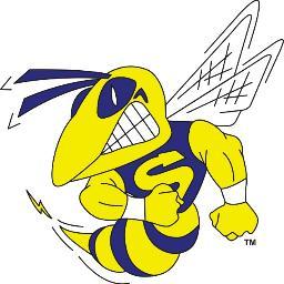 MS_PTO's profile picture. Saline Middle School PTO