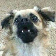 awildwinston11's profile picture. psychotic cunt ♒
lurking mostly
(she/her)