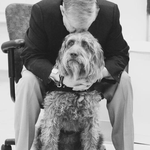 Veteran Traveler & Gander Service Dog: Nat Hero Service Dog 2014 & ‘16. NEA Fellow Poetry, TEDx organizer, DAV, Mustang Officer, Retired Eng prof. TKD coach