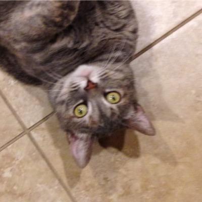 Sharpcapper's profile picture. 