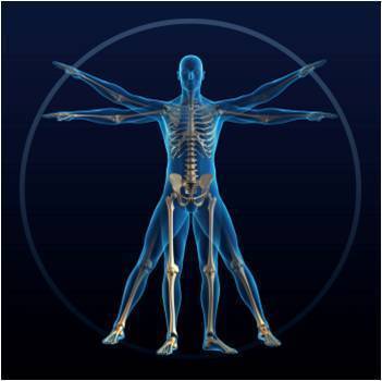 hbfacts's profile picture. The human body is more complex and advanced than any machine we could invent.