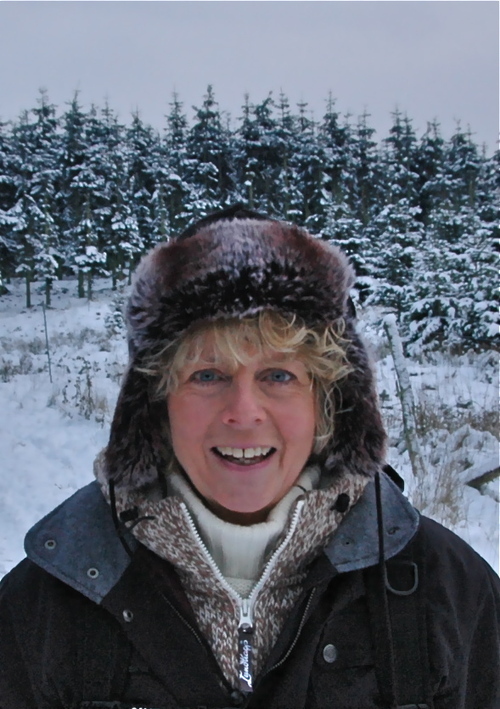 TwitLisbeth's profile picture. 