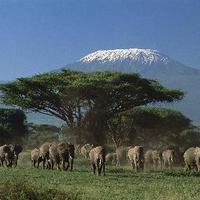 Kenya tours& safaris(@kenyatours01) 's Twitter Profileg