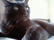 yuhkun's profile picture. 