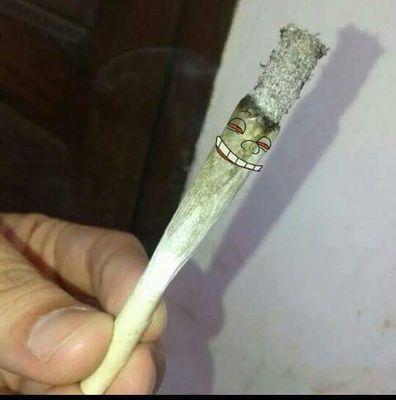 Las drogas son buena onda. El faso es amor, el faso es vida 4:20 24/7
#LEGALIZACION