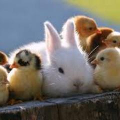 Antidomeitic's profile picture. 28 years old, soon to die of old age