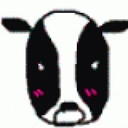 okusama27's profile picture. たいしたことはつぶやきません。
好きな言葉：鉄は熱いうちに打て、人間万事塞翁が馬
残りの人生をまったり、しっかり生きていきたい。たまには遊んでください。