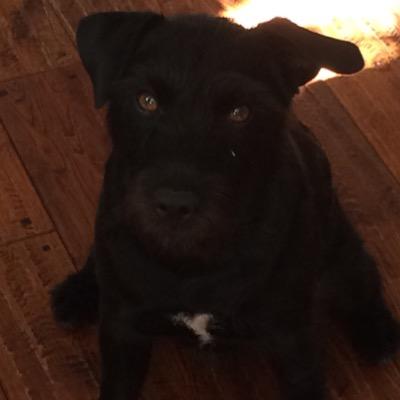 bellebutler1sb's profile picture. 