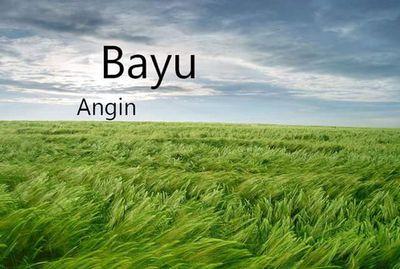 bayu_muranto's profile picture. 