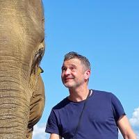 timtysonshort (@timtysonshort) 's Twitter Profile