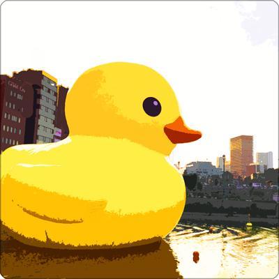 金子りさ Knknyokki Twitter