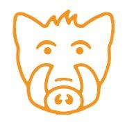 Boar Finance(@BoarFinance) 's Twitter Profile Photo