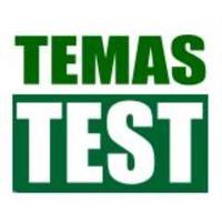 Temasytest (@temasytest) 's Twitter Profile