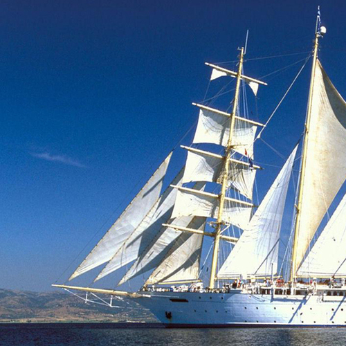 vitryla's profile picture. польові та мережеві дослідження