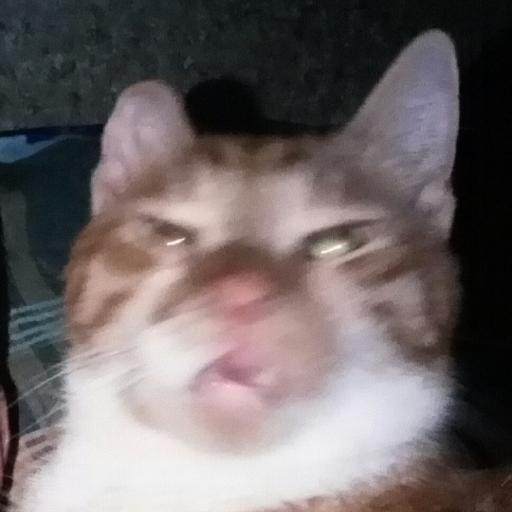 cydmitry's profile picture. Football, memes n stuff