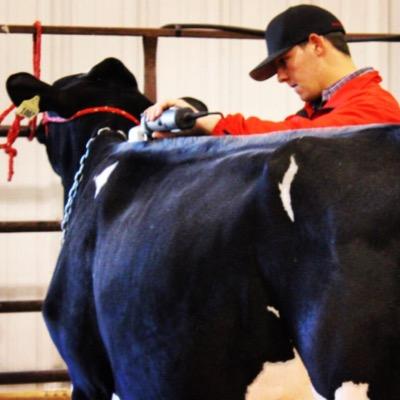 larsacov's profile picture. 