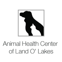 Animal Health Center of Land O' Lakes is comprised of three Florida veterinarians who, with the help of our dedicated staff, treat all types of pets.