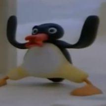 Sup bro