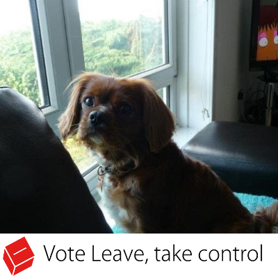 johnmclean13's profile picture. Supporter of Heart of Midlothian FC