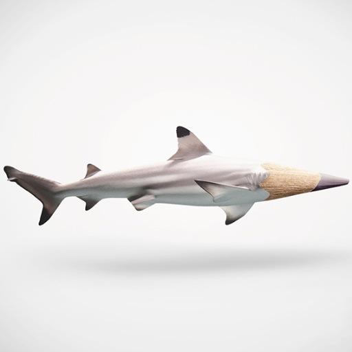 TheHirstsShark's profile picture. Tiburón García. Adicto al formaldehído.