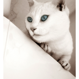 ZabihaSaeed's profile picture. 3 Week Diet Review| Lose Weight in Just 3 Weeks,3 week diet reviews · 3 Week Diet - The Fastest Way To Lose Weight In 3 Weeks . If you The 3 week diet plan