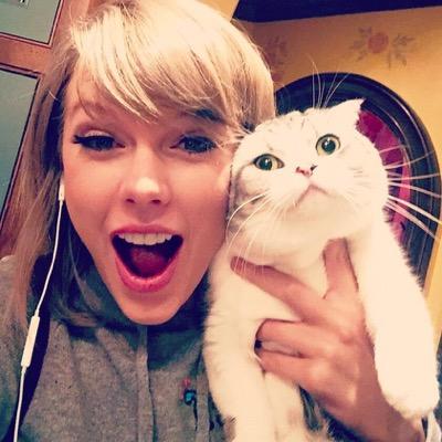 this account is pretty self explanatory | ✨ run by @TaylorIsMyCure and @Shameonmeow_ ✨