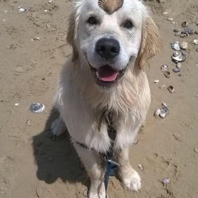 pooleguy2's profile picture. 