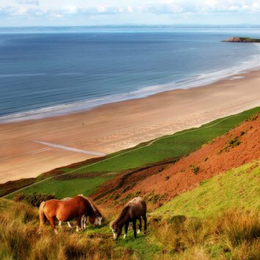 Ahmed7364827's profile picture. 