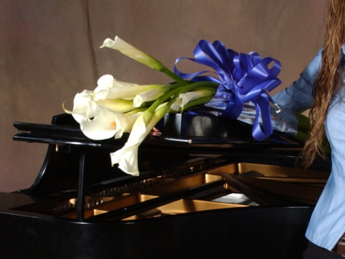 StudioNEmusic's profile picture. Promote microtonal music and quarter-tone piano http://t.co/ZRbsV0Vs