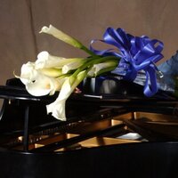 Studio NE (@studionemusic) 's Twitter Profile