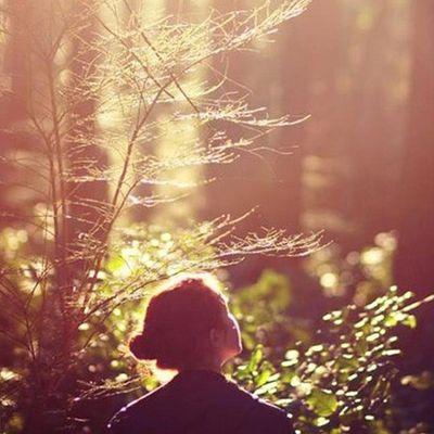 NNatchanitphak's profile picture. 