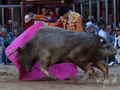 Novillero sin picadores. Zaragoza Instagram=== @albertoalcalas