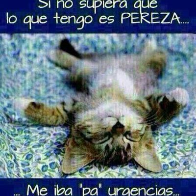 Me gustan los animales, hacer fotos, leer un buen libro, la buena conversación y tener buenos ratos en soledad.