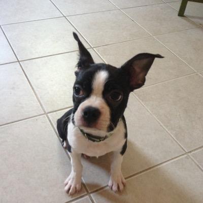 mrsjcoady's profile picture. Library Media Specialist