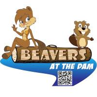 Beavers at the Dam(@BeaversattheDam) 's Twitter Profile Photo