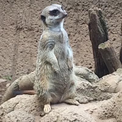 kimcast216's profile picture. 